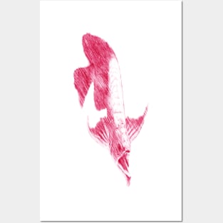 arowana Posters and Art